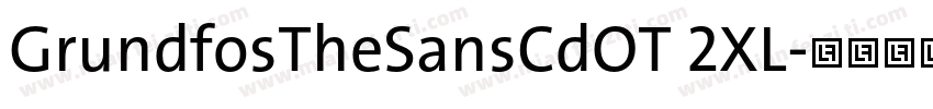 GrundfosTheSansCdOT 2XL字体转换